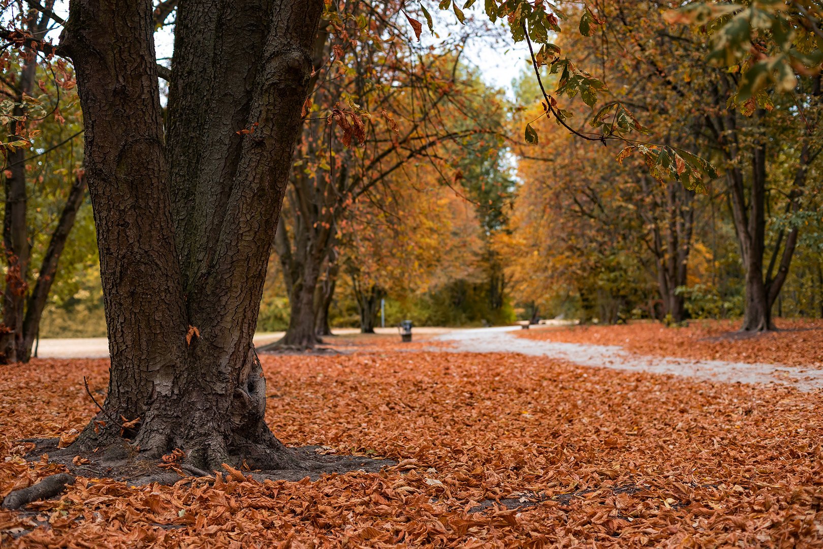 fast schon Herbst...