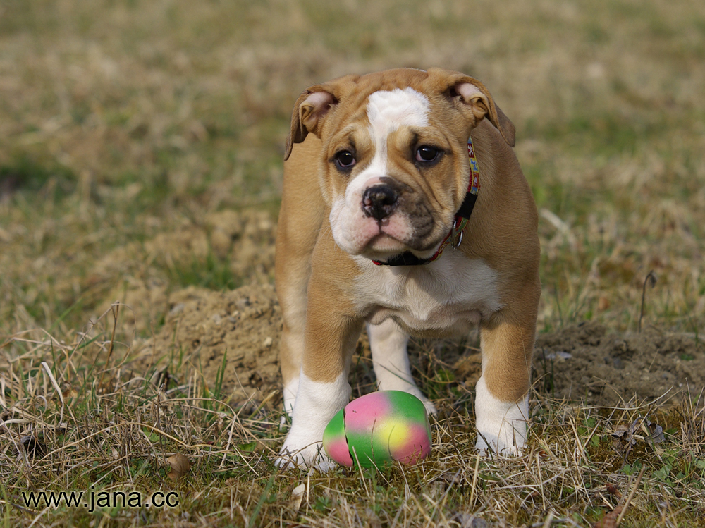 Fast schon Ostern