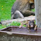 Fast vergessen: Heute ist Badetag