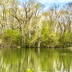 Fast vergessene Natur auf den Fildern 