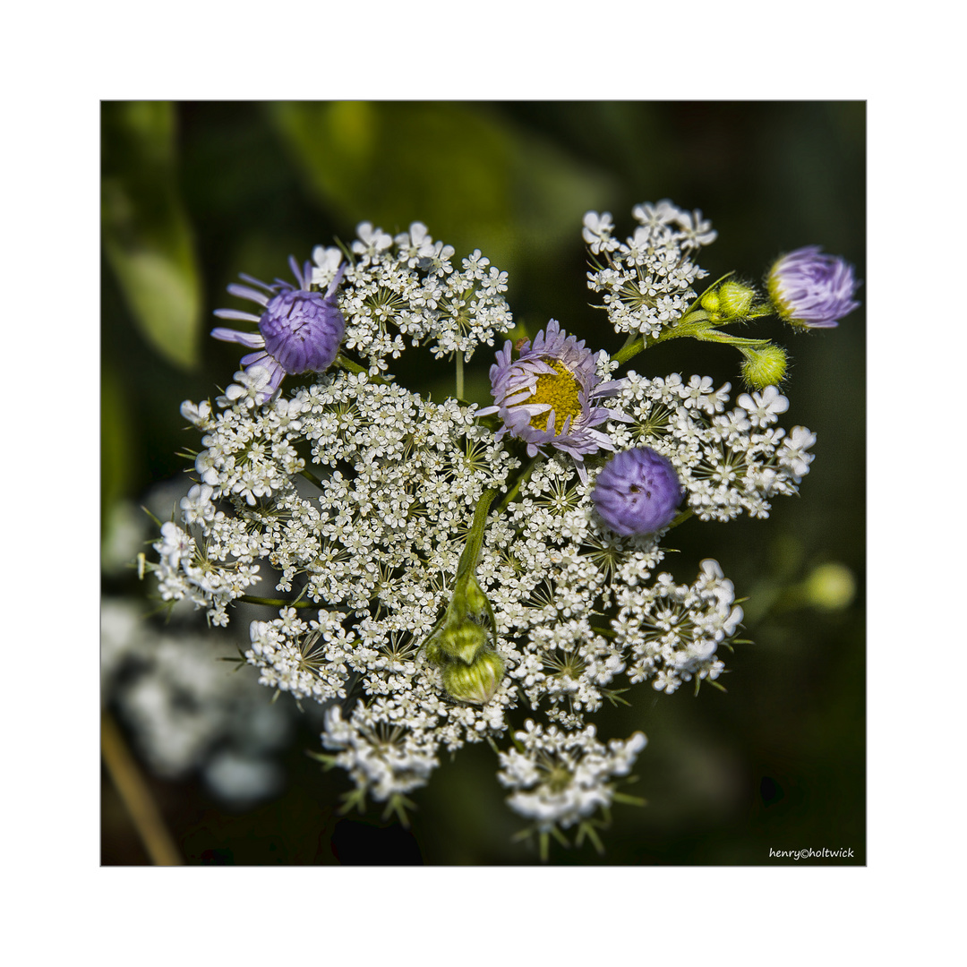 Fast versteckt am Wegesrand