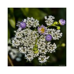 Fast versteckt am Wegesrand