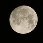 Fast Vollmond am 20. Januar 2019  um 5.30 Uhr