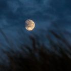 Fast Vollmond über Ouddorp - Niederlande