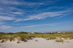 Fast weisse Dünen im Norden von Amrum