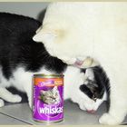 ...fast Whiskas Werbung