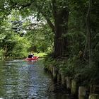 Fast wie am Amazonas. Natur pur