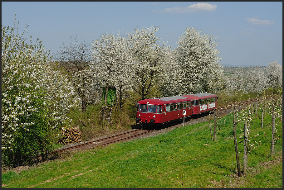 Fast wie früher, ein VT98 bei schönster Frühlingsblüte auf der Mainschleifenbahn