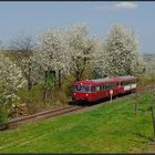 Fast wie früher, ein VT98 bei schönster Frühlingsblüte auf der Mainschleifenbahn