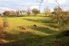 fast wie im Frühling