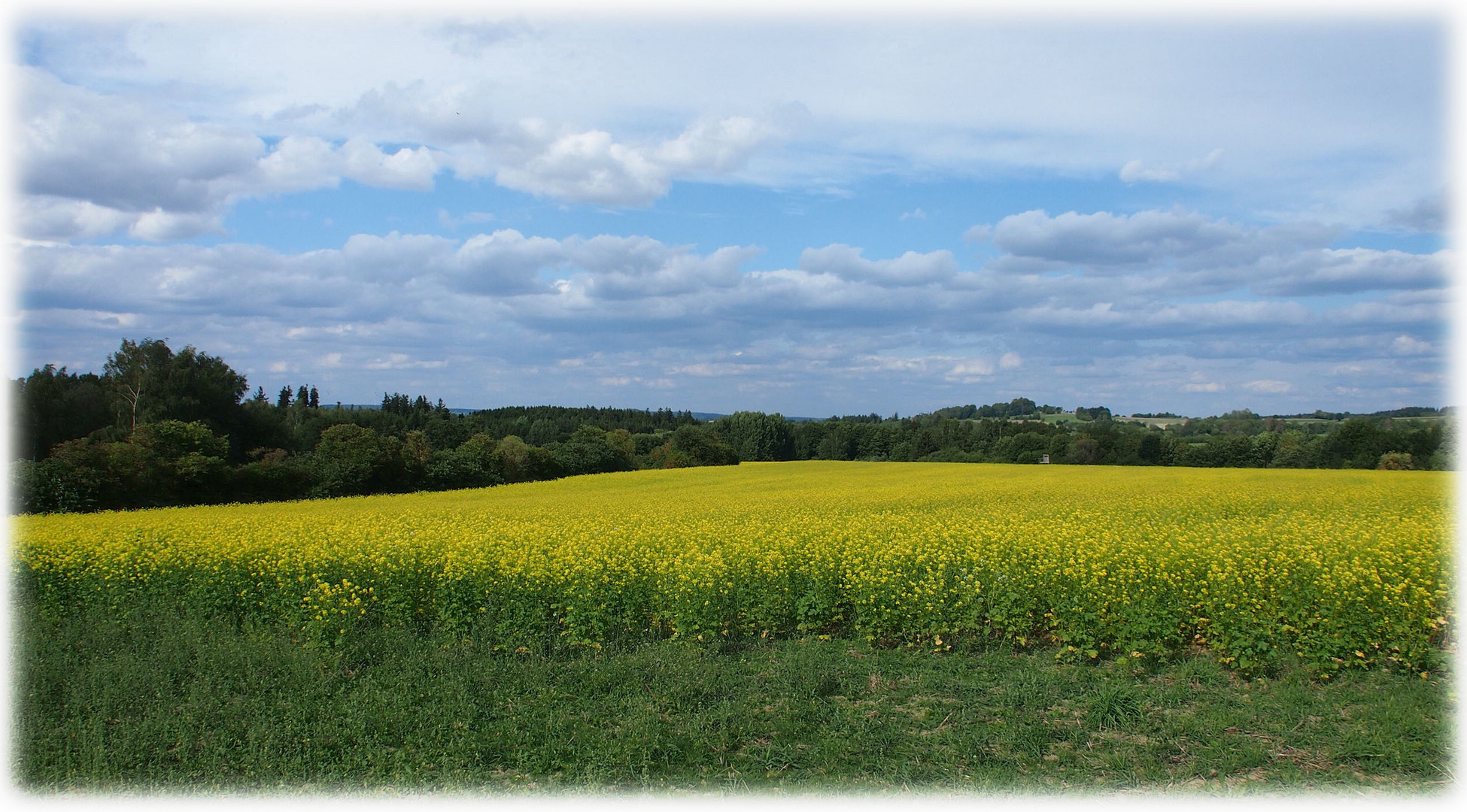 Fast wie im Frühling