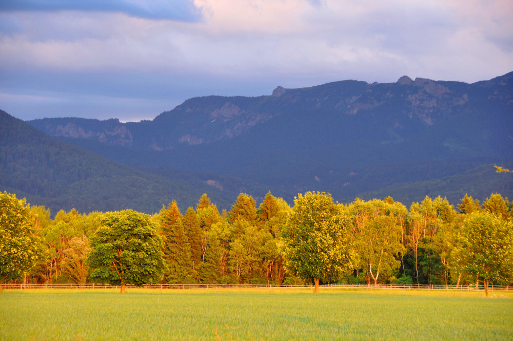 fast wie im Herbst....