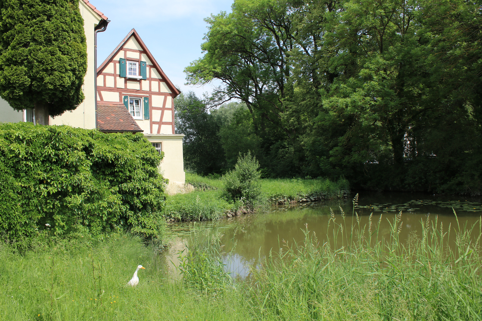 Fast wie im Märchen G(H)ans im Glück