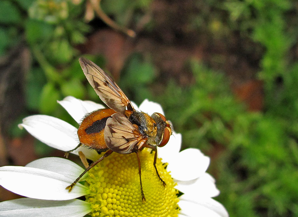 Fast wie im Sommer...