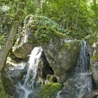 Fast wie im Urwald aber kurz vor Wien