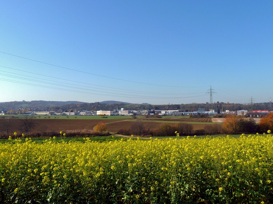 Fast wie im Vorfrühling