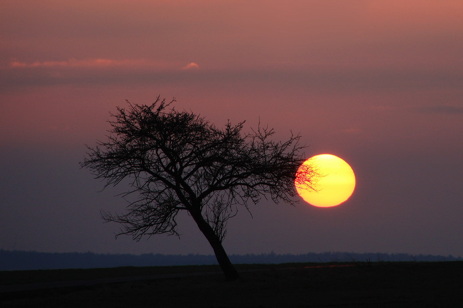 Fast wie in Afrika