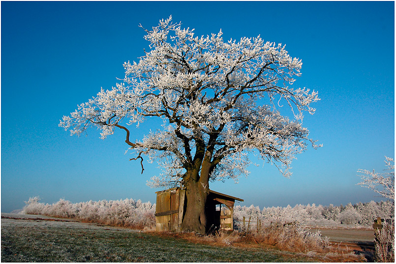 Fast winterliche Landschaft