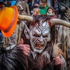 Fastnacht in Ettenheim 2014 - Umzug - 1