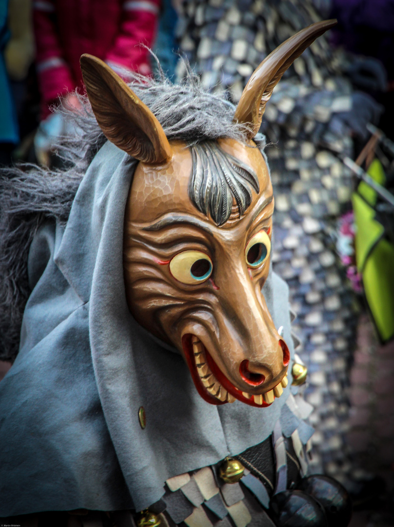 Fastnacht in Ettenheim 2014 - Umzug - 2