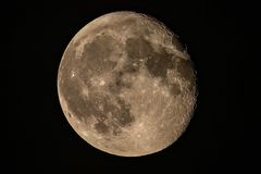 ~ FASTVOLLMOND ~