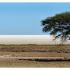 Faszination Etosha