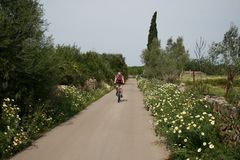 Faszination Fahrradfahren auf Mallorca II