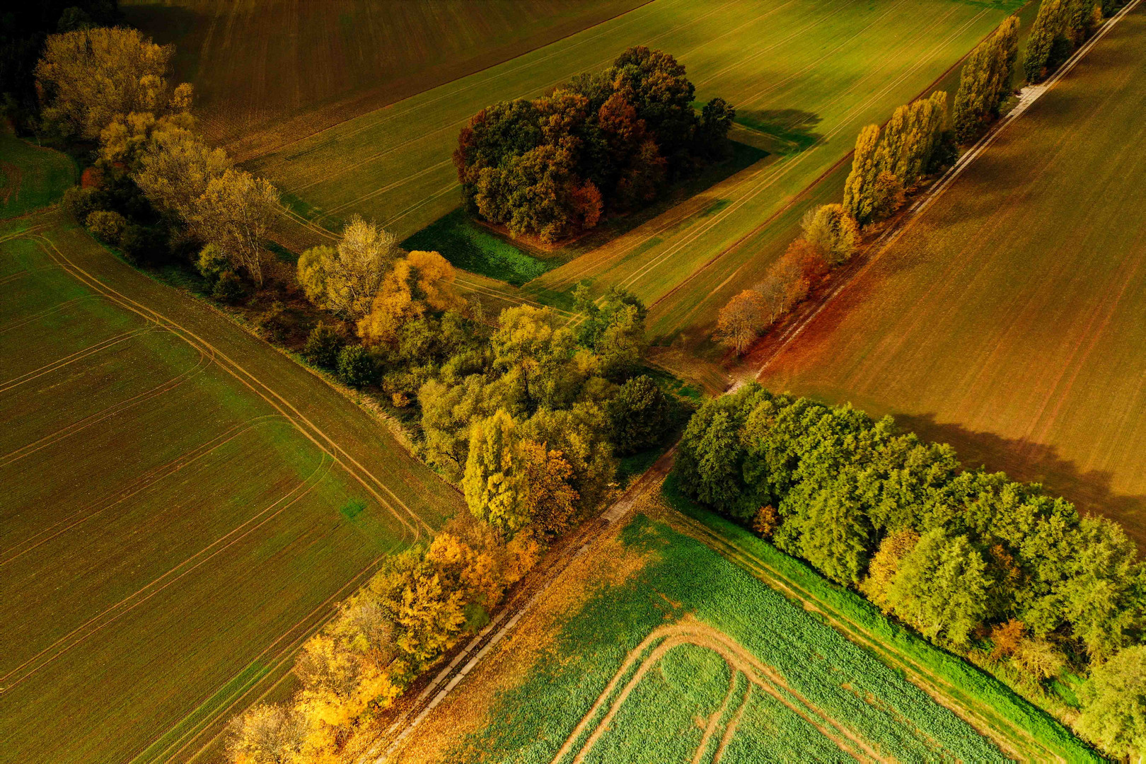 Faszination Herbst