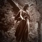 Faszination in Sepia (Bronze Engel Mystik Friedhof Trauer)