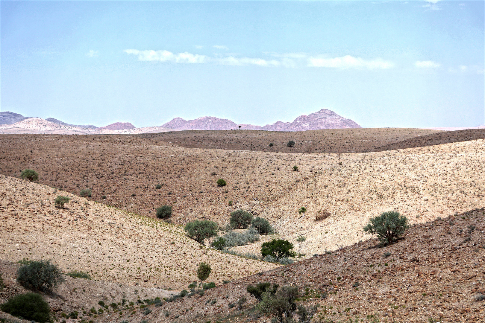 Faszination Namib