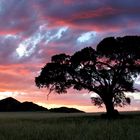 Faszination „Namibia Landschaftsfotografie“ - Der einsame Baum im Abendlicht