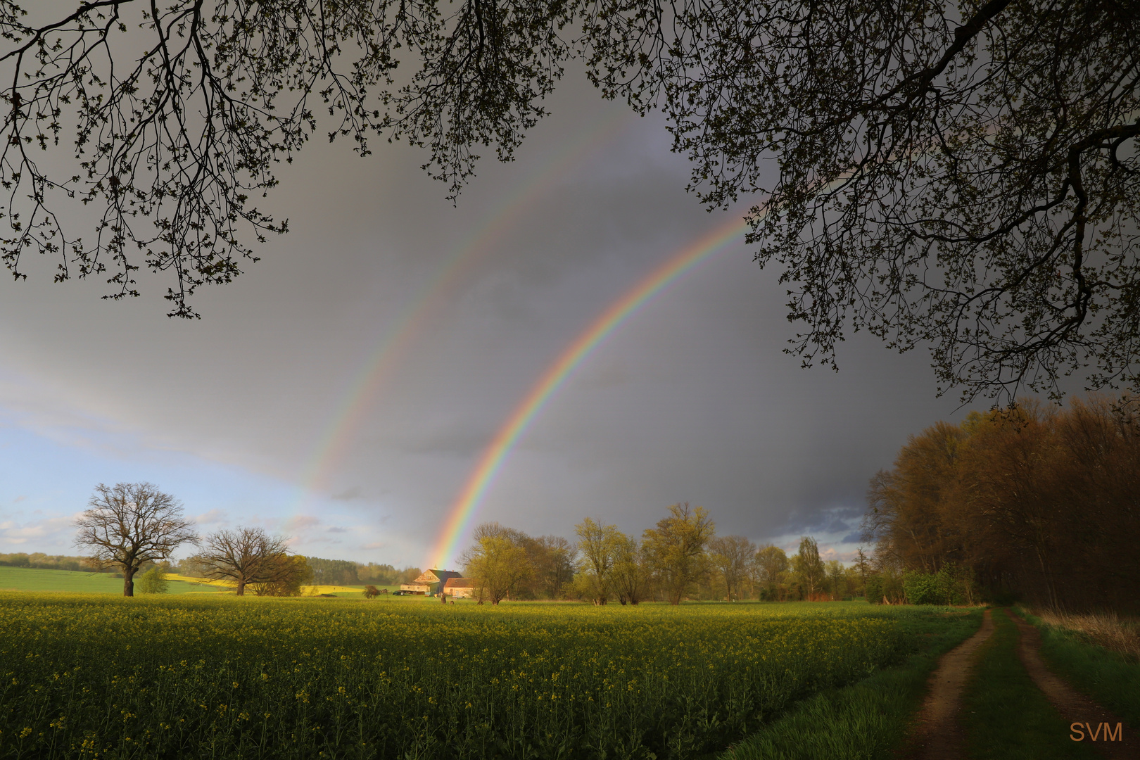 Faszination Natur