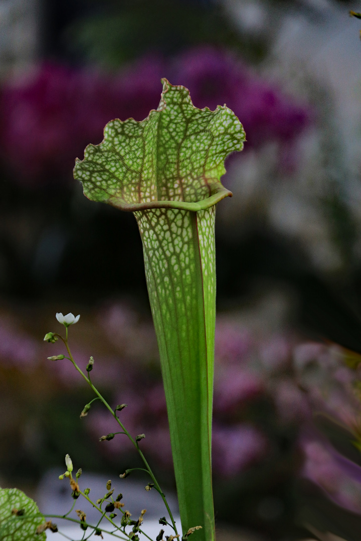 Faszination Natur