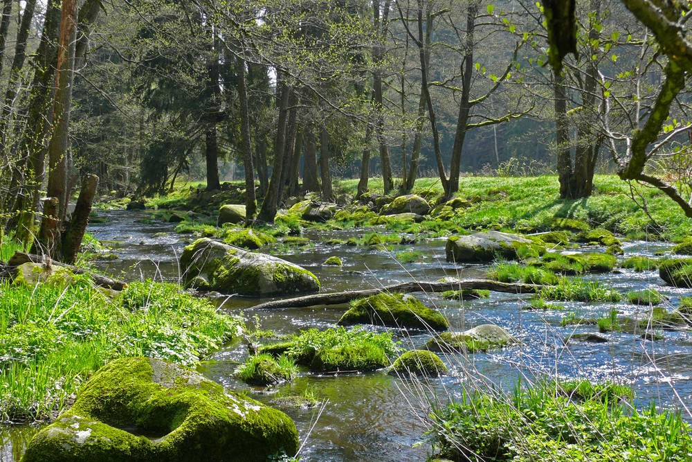 Faszination Natur