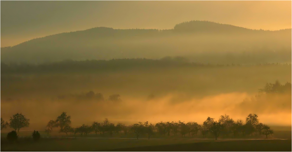 Faszination Nebel