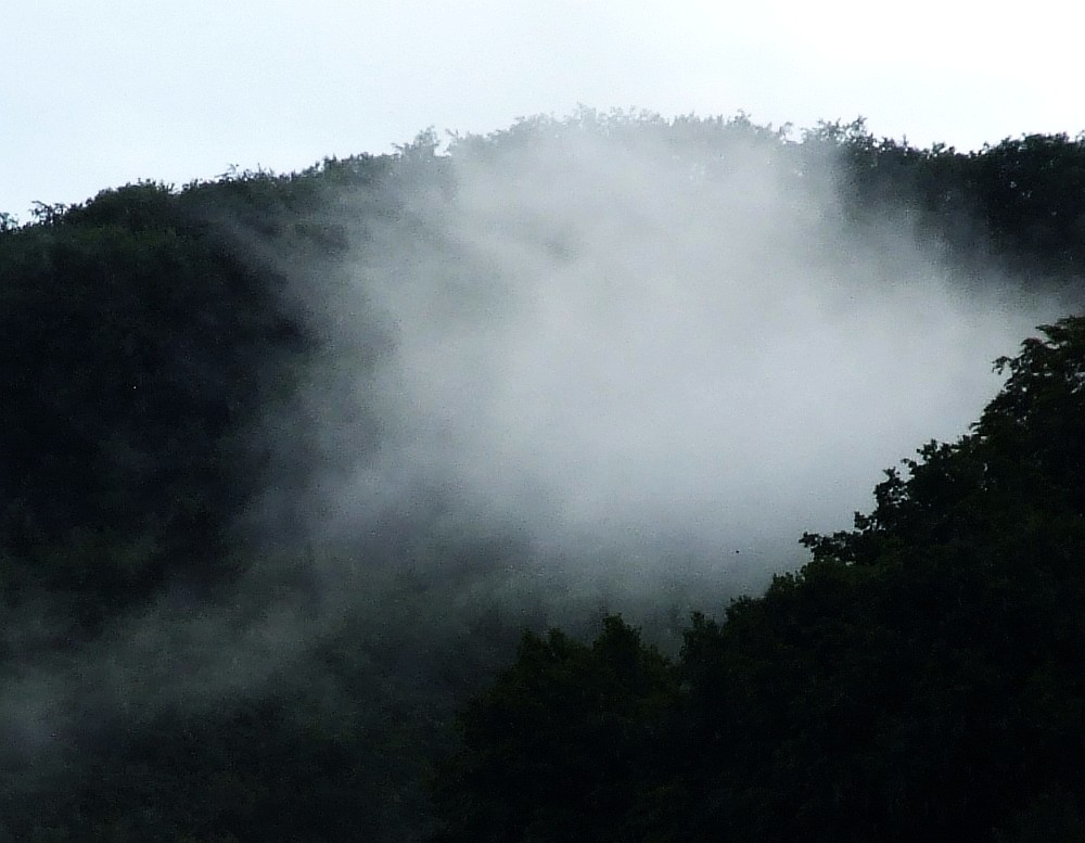 Faszination Nebel über dem Wald.....