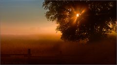 Faszination Nebelstimmung am frühen Morgen