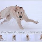 Faszination Neuschnee