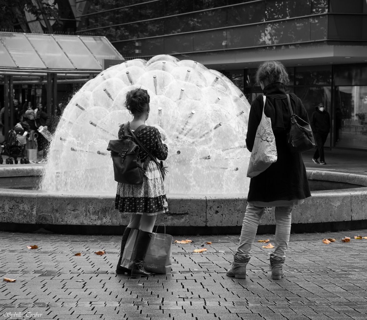 Faszination Pusteblumenbrunnen