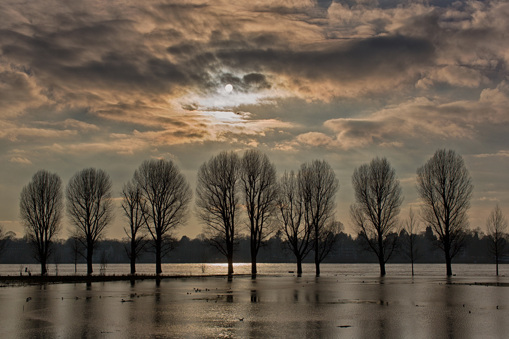 Faszination Rhein