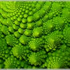 Faszination Romanesco