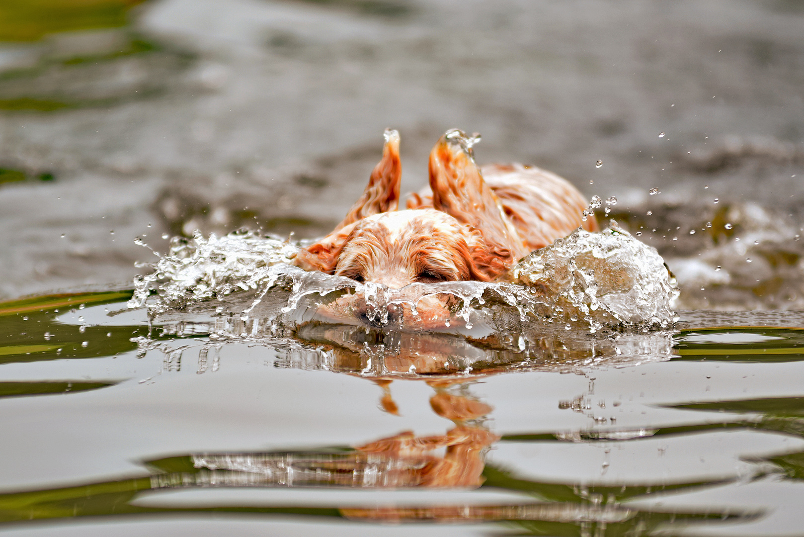 Faszination Wasser