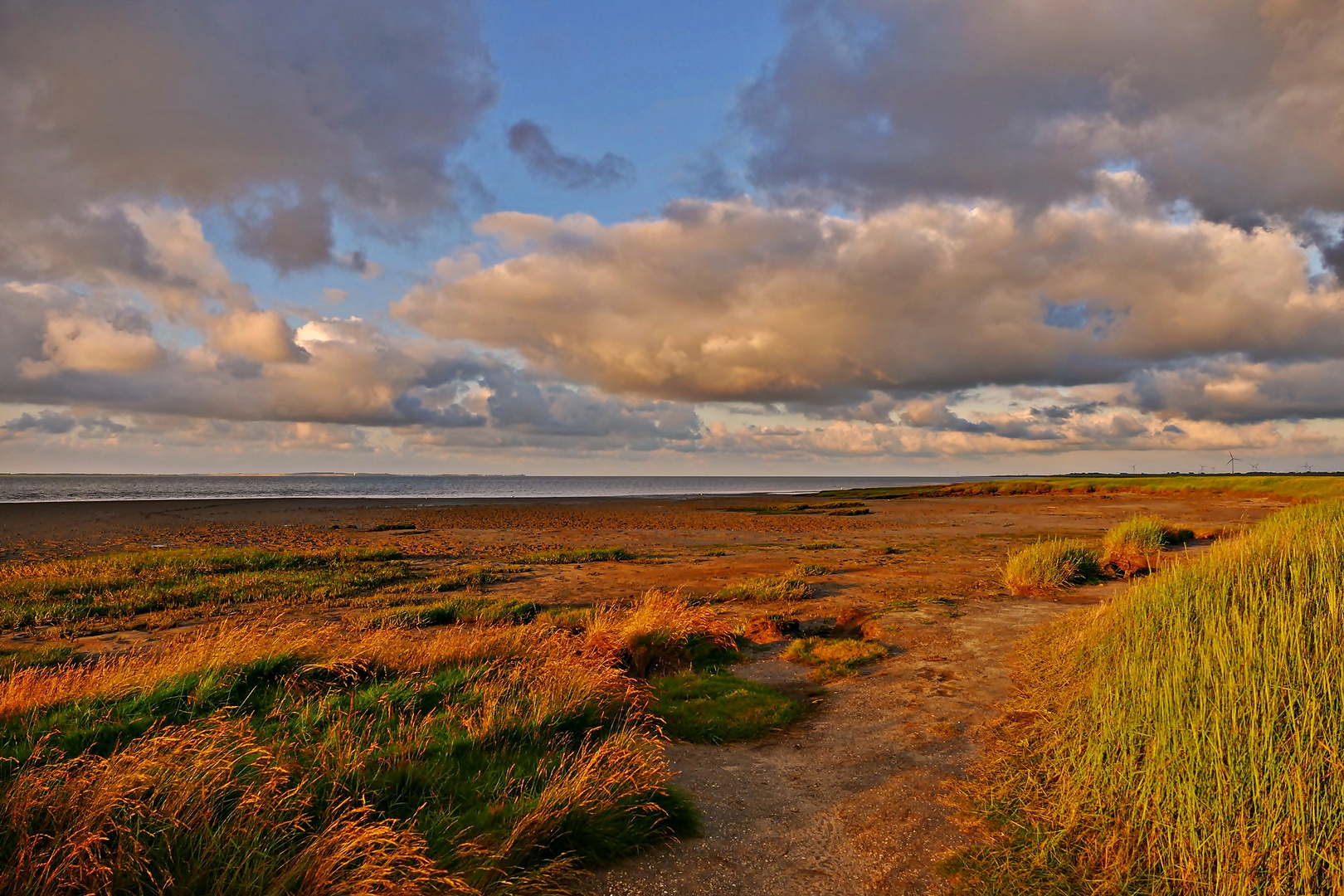 Faszination Wattenmeer