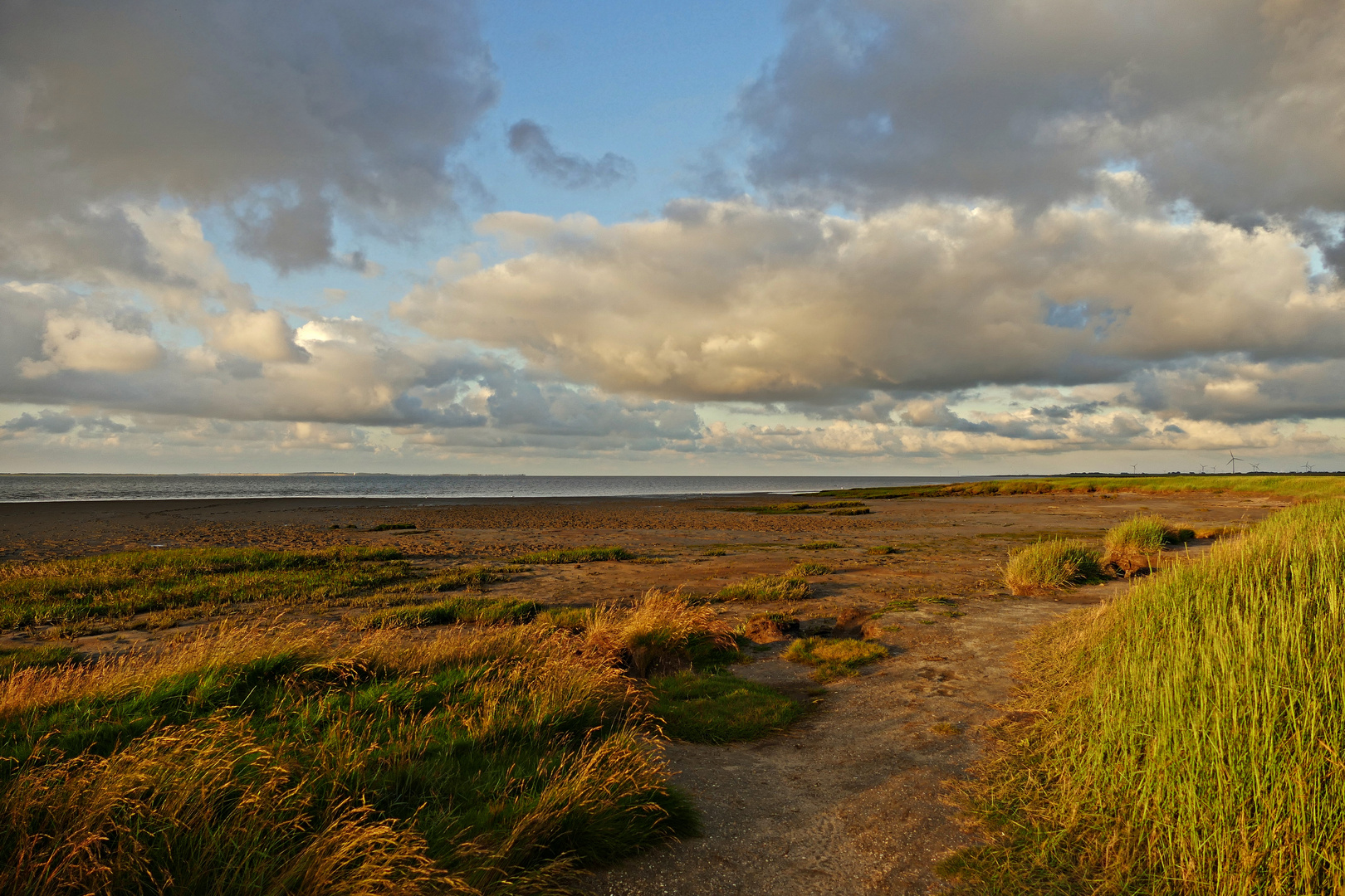 Faszination Wattenmeer 2