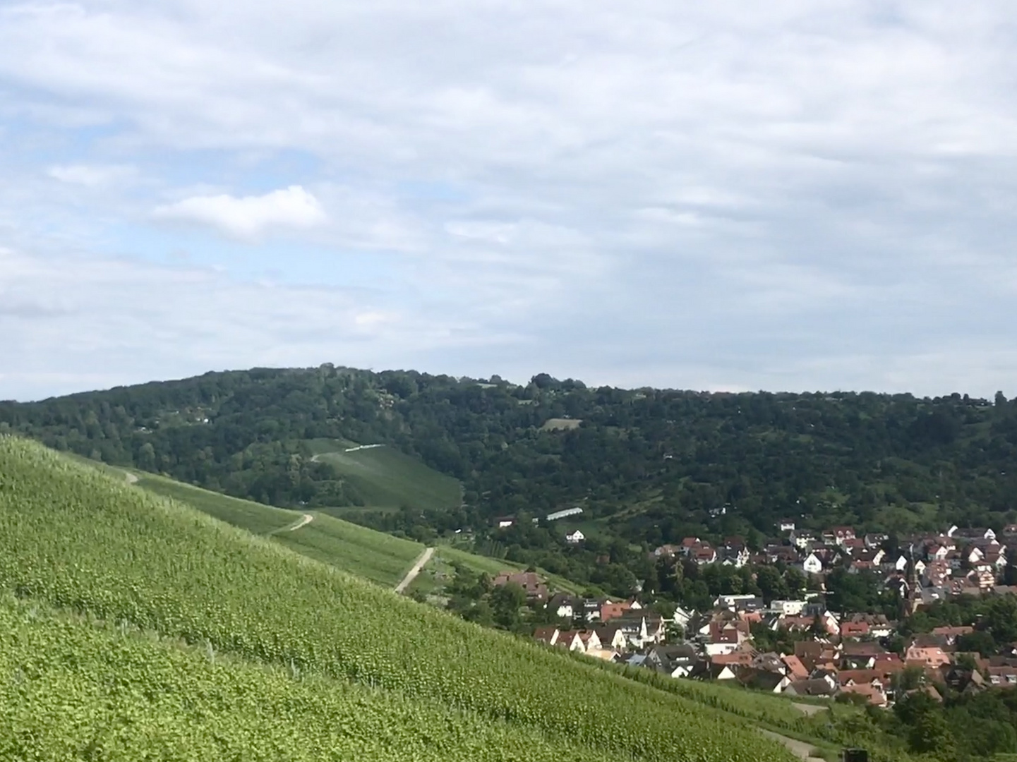 Faszination Weinberge und den weiten Blick