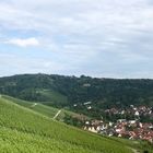 Faszination Weinberge und den weiten Blick