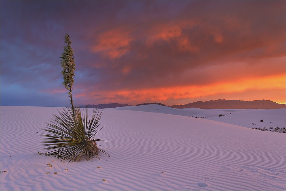 Faszination White Sands