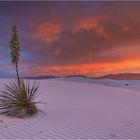 Faszination White Sands