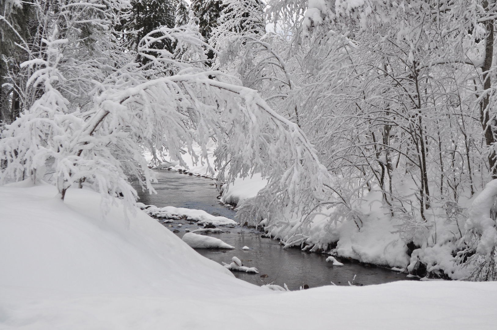 Faszination Winterlandschaft