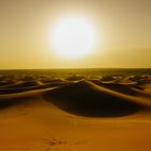 Faszination Wüste 